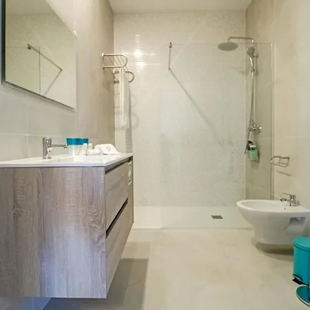 公寓 Casa Sao Vicente - Near Centre With Private Parking 维亚纳堡