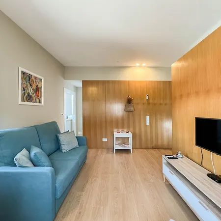 Casa Sao Vicente - Near Centre With Private Parking 维亚纳堡