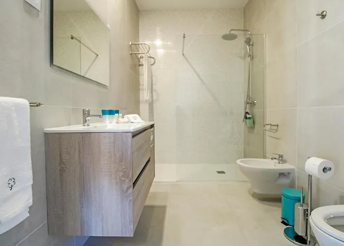 公寓 Casa Sao Vicente - Near Centre With Private Parking 维亚纳堡